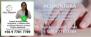 Acupuntura Agujas en puntos específicos restablecen el funcionamiento del organismo Reiki Usui Transmisión de energía universal equilibrando y armonizando los chakras Ventosas Facilita la llegada de nutrientes a los musculos aliviando dolores y lesiones Terapia Floral Preparados de origen floral que logran equilibrar a nivel emocional y mental Biomagnetismo Imanes que regulan el PH del organismo, evitando enfermedad